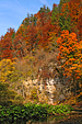 trees